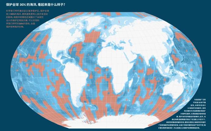 在30%的保护目标情境下，《蓝图》推演出的数百种海洋保护区网络规划（图中橙色部分）方案之一。© Greenpeace